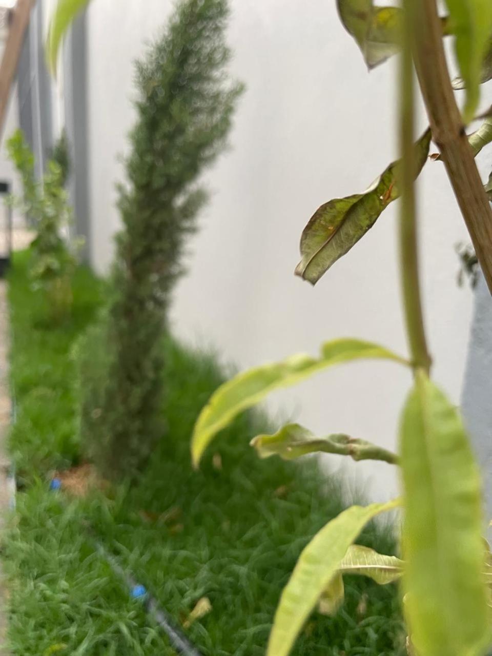 Garden Land Khamis Mushait Exterior foto